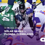 02FEV_solarbears_FloridaEverblades