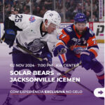 02NOV_solarbears_jacksonville